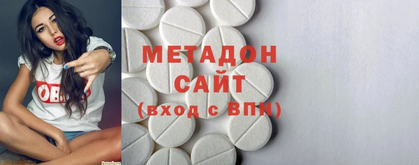 прущие грибы Покров